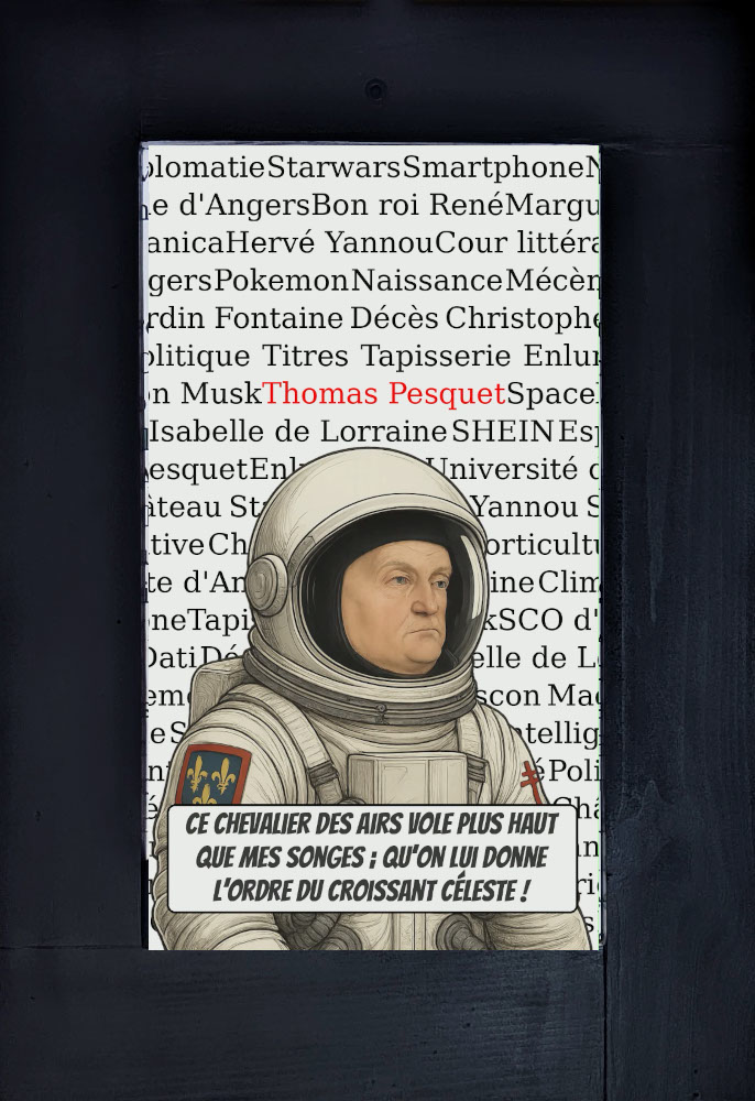 Détail de l'installation Space René